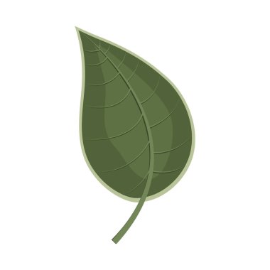 Yaprak vektör simgesi