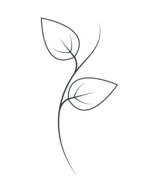 Botanik bitkisi hassas