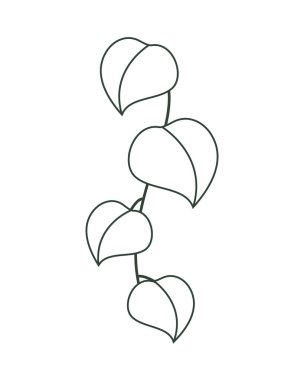 doğal botanik bırakır