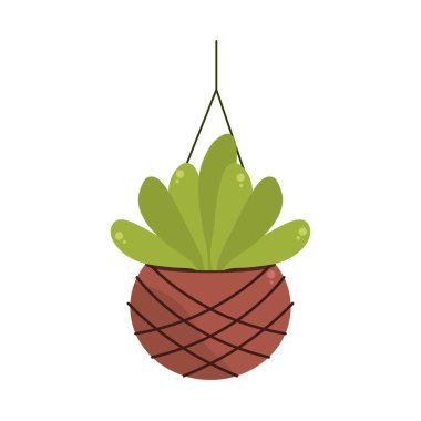 sarkmış sulu bitki