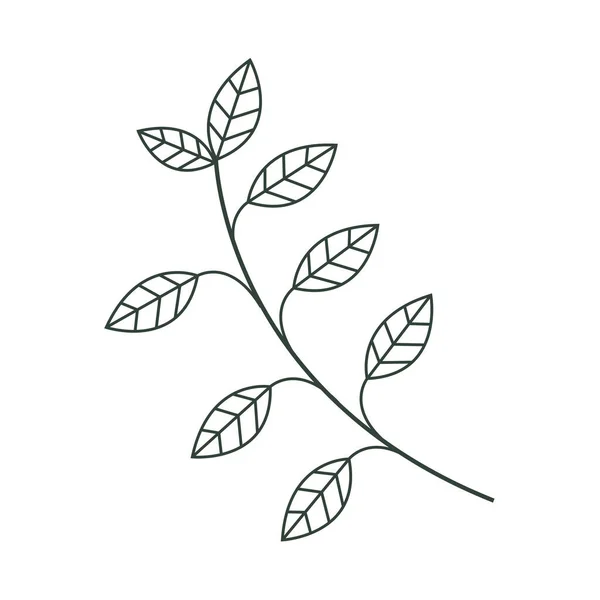 Ніжне листя гілки — стоковий вектор