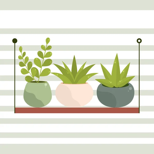 Zimmerpflanzen im Regal — Stockvektor