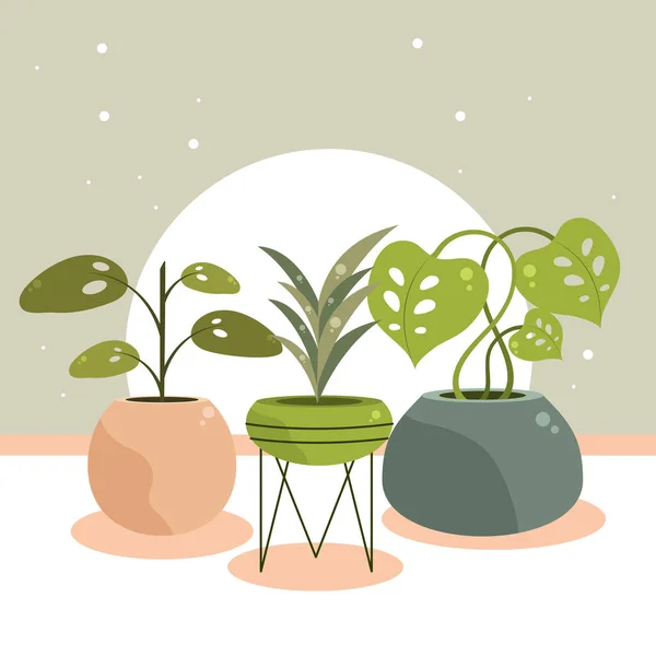 Plantas de interior decoración de interiores — Vector de stock