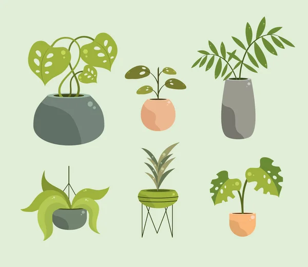 Koleksi ikon tanaman pot - Stok Vektor
