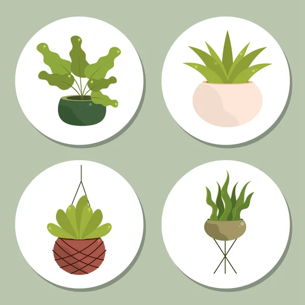 Иконы декоративных комнатных растений — стоковый вектор
