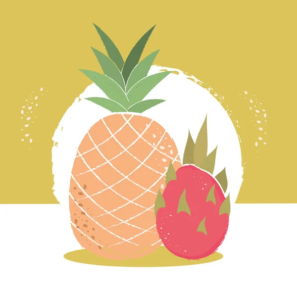 Pineapple and dragon fruit — Stockvektor