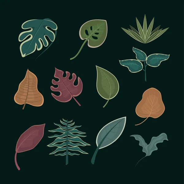 Множество листьев — стоковый вектор