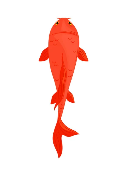 Koi balığı japan — Stok Vektör