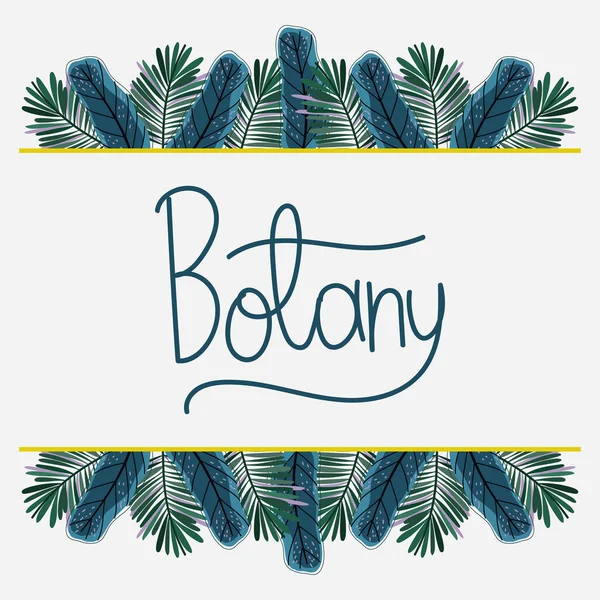 botanik tropikal yaprakları