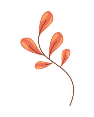 yapraklar doğa bitki