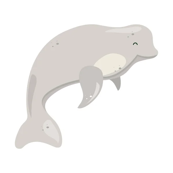 Beluga velryba izolovaná — Stockový vektor