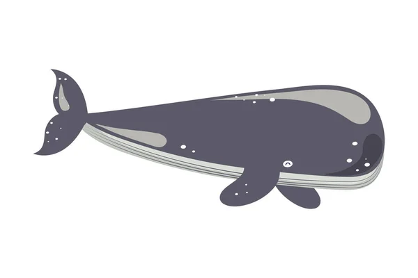 Meereslebewesen der Wale — Stockvektor