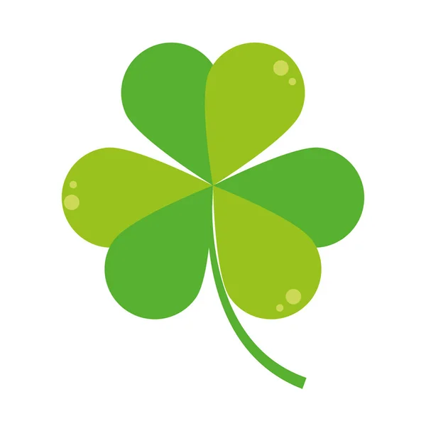 Shamrock-Pflanzenblätter — Stockvektor