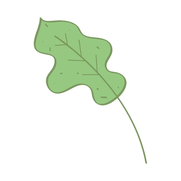 Leaf foliage icon — Stock Vector
