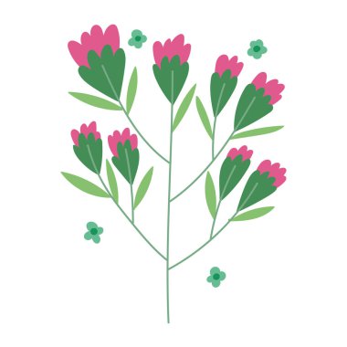 çiçek dalları yaprakları