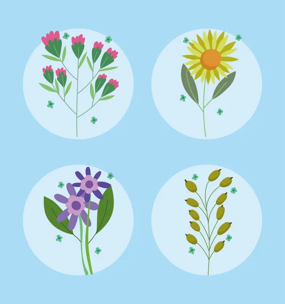 Uppsättning blommor och blad — Stock vektor