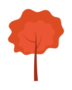 sonbahar ağaç yaprakları