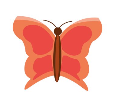 Kelebek Böceği çizgi filmi