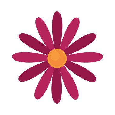 Çiçek yaprakları doğa