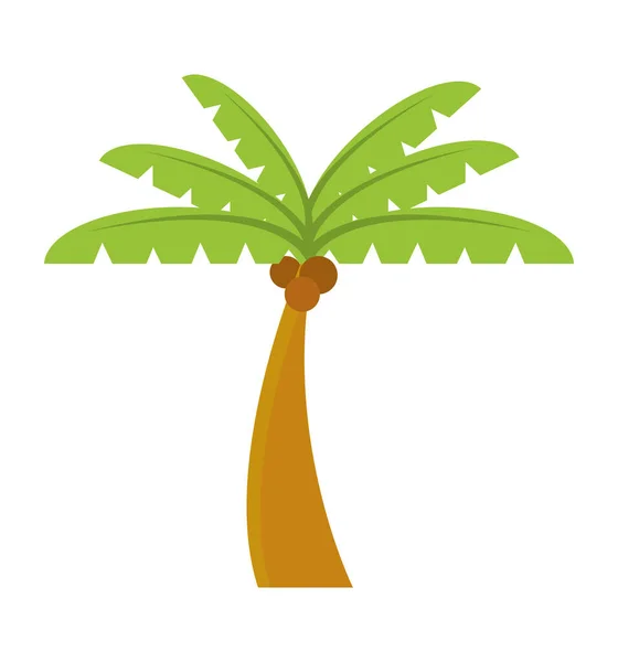 Naturaleza palmera — Vector de stock