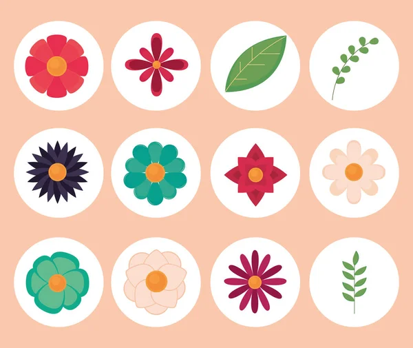 春花和植物 — 图库矢量图片