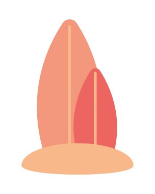 Kumda sörf tahtaları