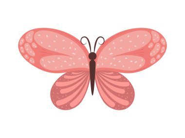 Şirin kelebek simgesi