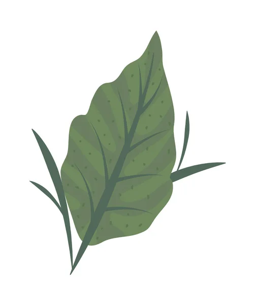 Ikona płaski liść — Wektor stockowy