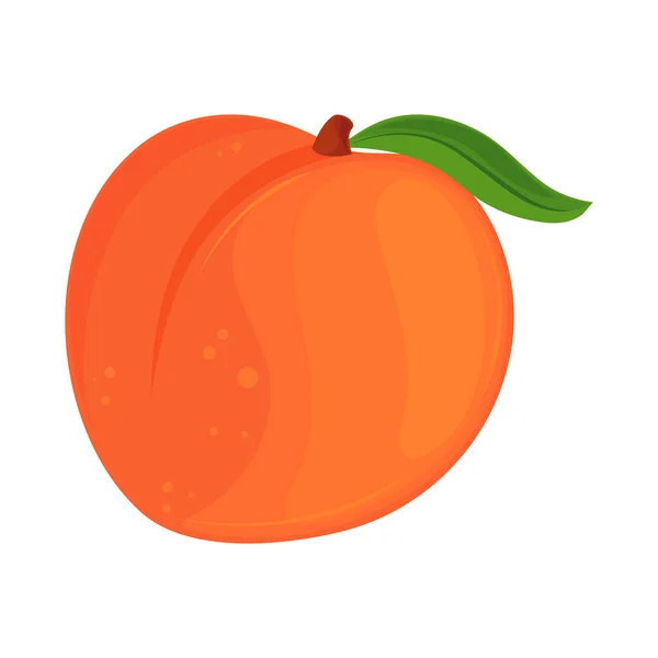 Icono de fruta de melocotón — Vector de stock