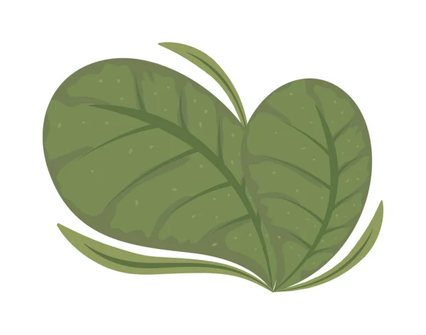 Icona foglie fogliame — Vettoriale Stock