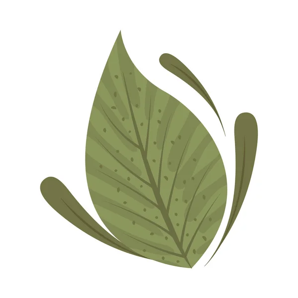 Icono de dibujos animados hoja — Vector de stock