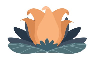 güzel çiçek ve yaprak