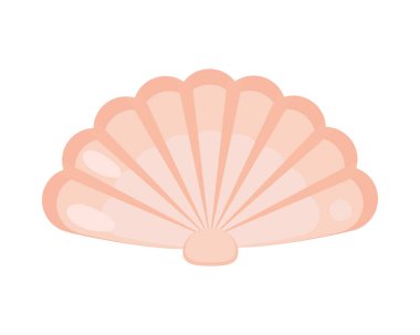 deniz kabuğu yaşam simgesi