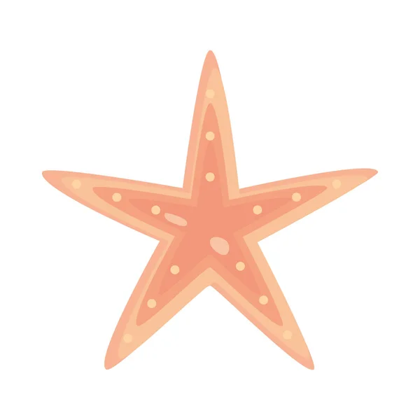 Estrella de mar icono de la vida marina — Vector de stock