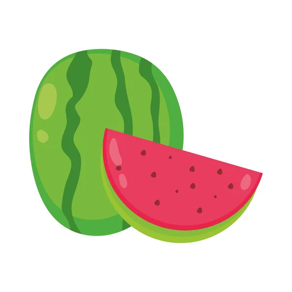Fruto de melancia tropical — Vetor de Stock