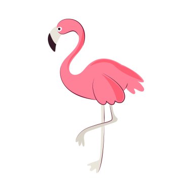 Flamingo kuş simgesi