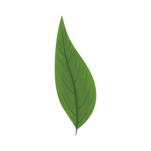 Ikona przyrody liści — Wektor stockowy