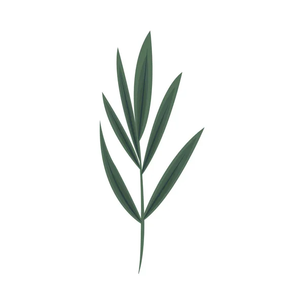 Ikona příroda listoví — Stockový vektor