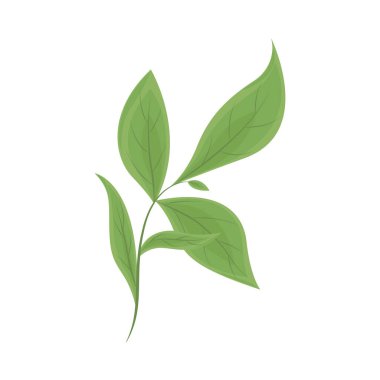 Bitki örtüsü doğası