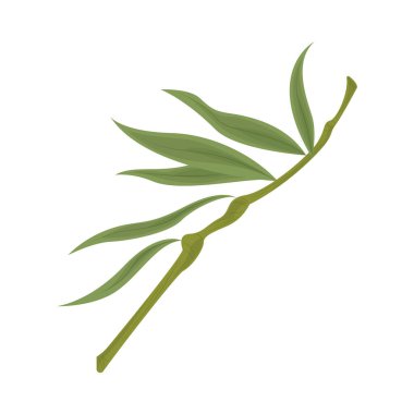 Doğa sapı ve yaprakları