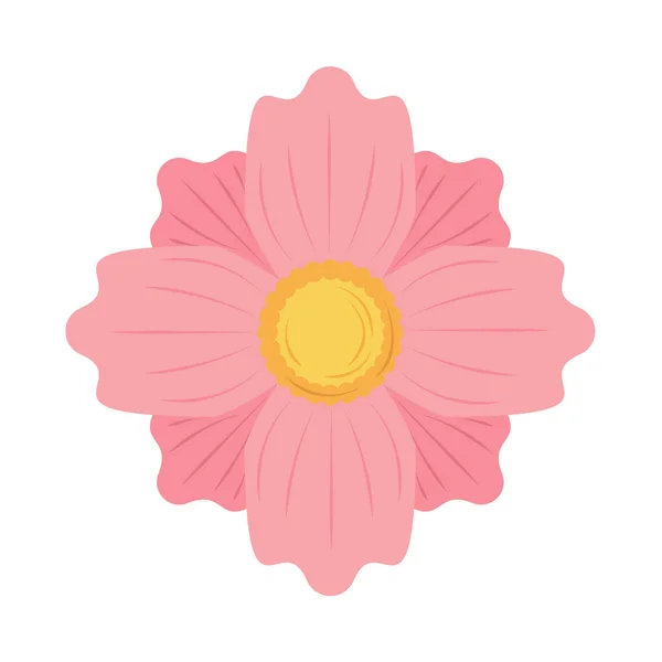 Icône de décoration de fleur — Image vectorielle