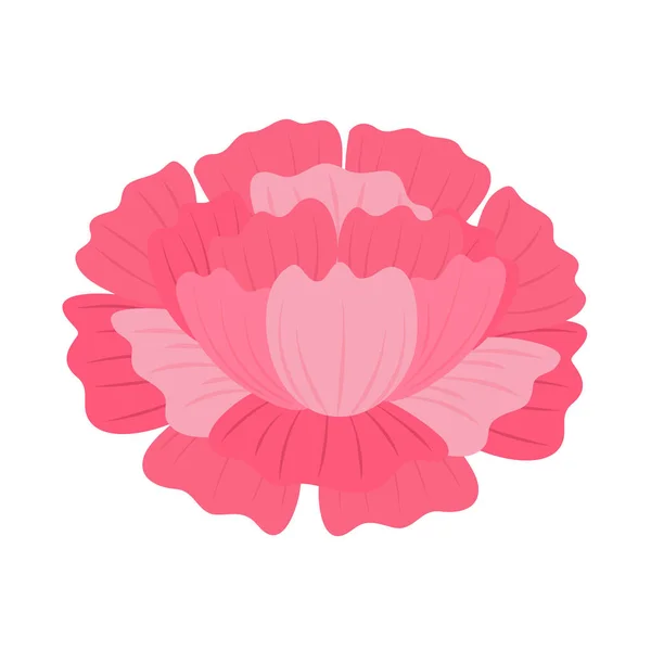 Pink flower nature — Stock Vector