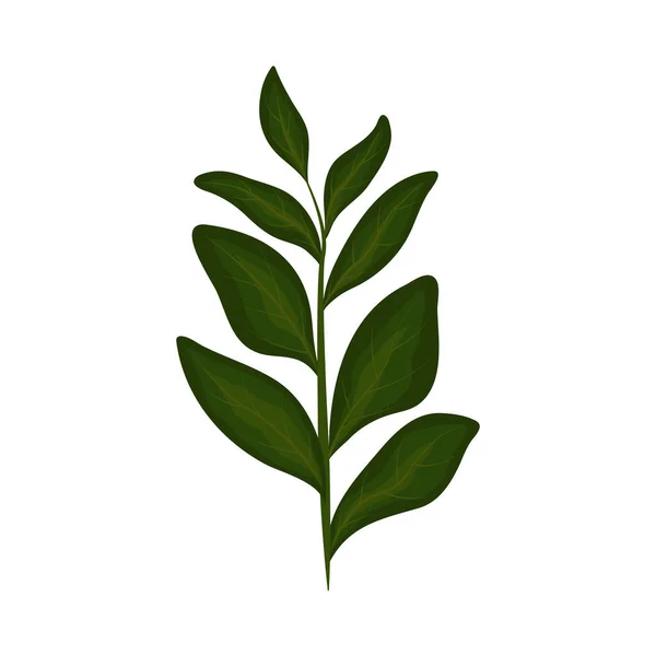 Nature leaves botanic — Stock Vector