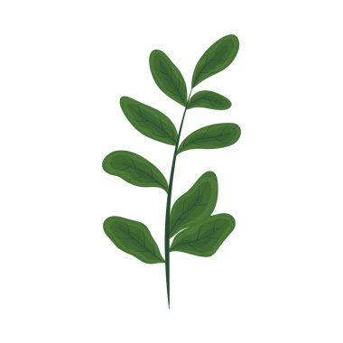 Doğa bitkisi simgesi