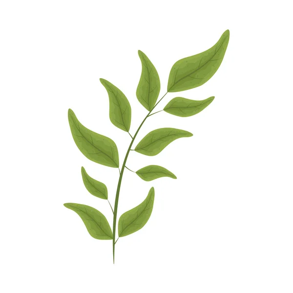 Nature végétation icône — Image vectorielle