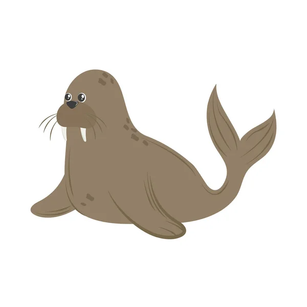 Pictogram zeehond — Stockvector