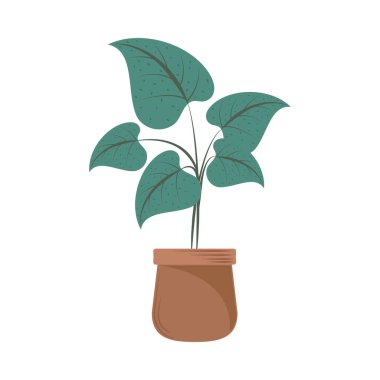 Saklı Bitki Simgesi