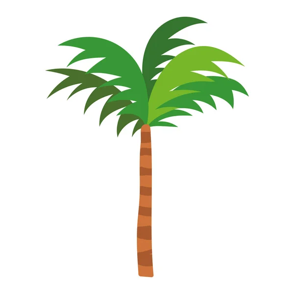 Trópusi pálmafa — Stock Vector