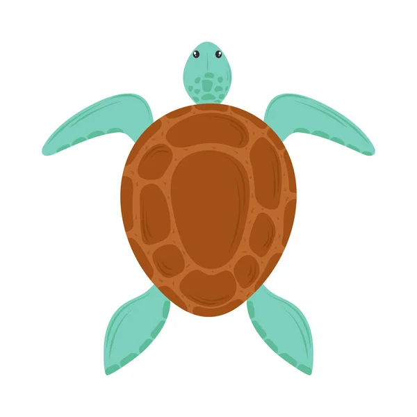 Sköldpadda havsliv — Stock vektor