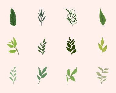 Doğa yaprakları ve dallar